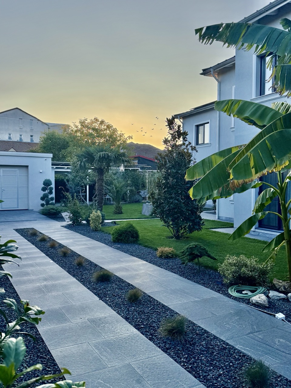 apartament-lux-timisoara-gradina-privata-amazonia-cardiologie