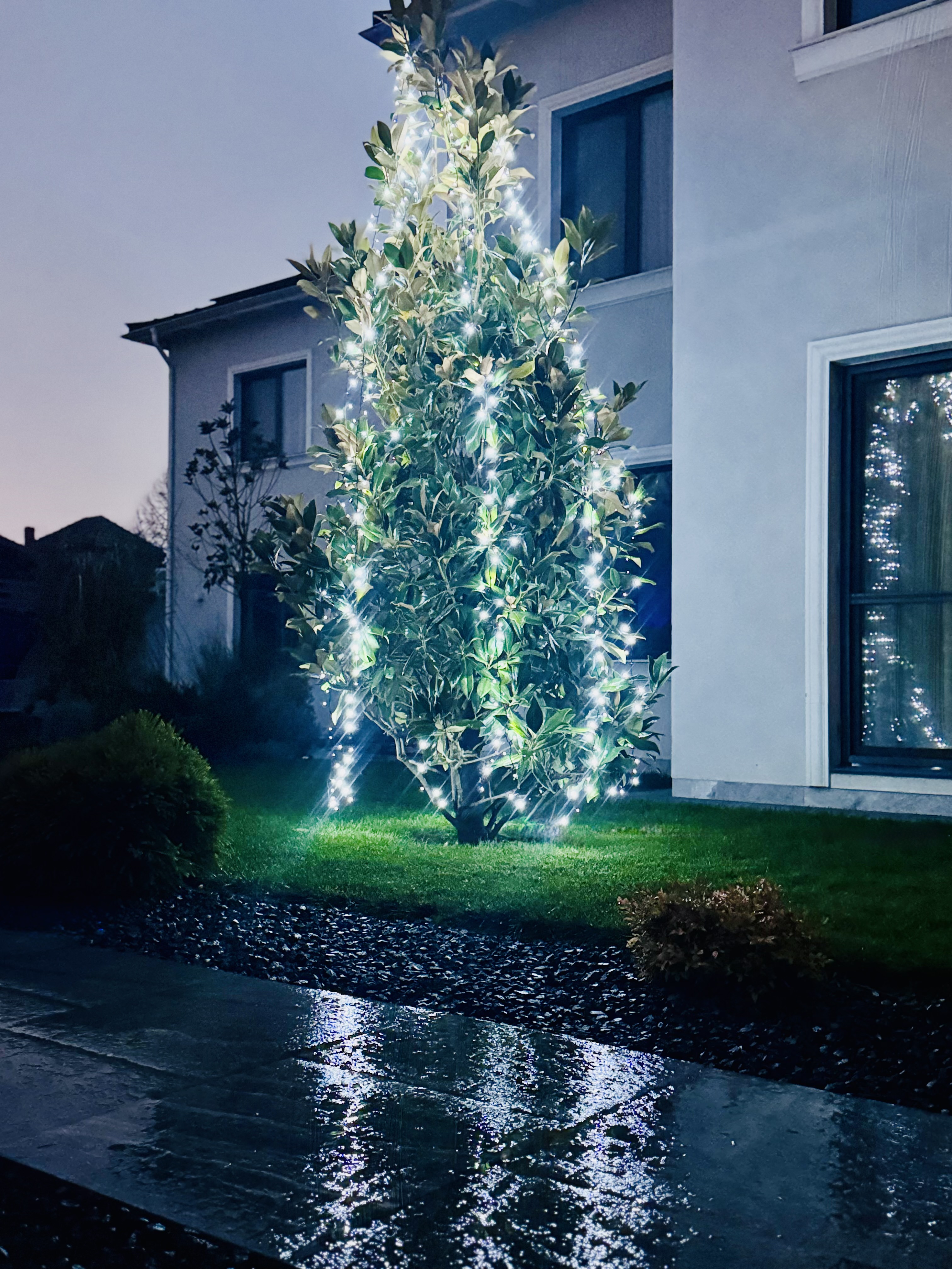 gradina-privata-seara-iluminata-eden-suites-timisoara-langa-amazonia-aquapark