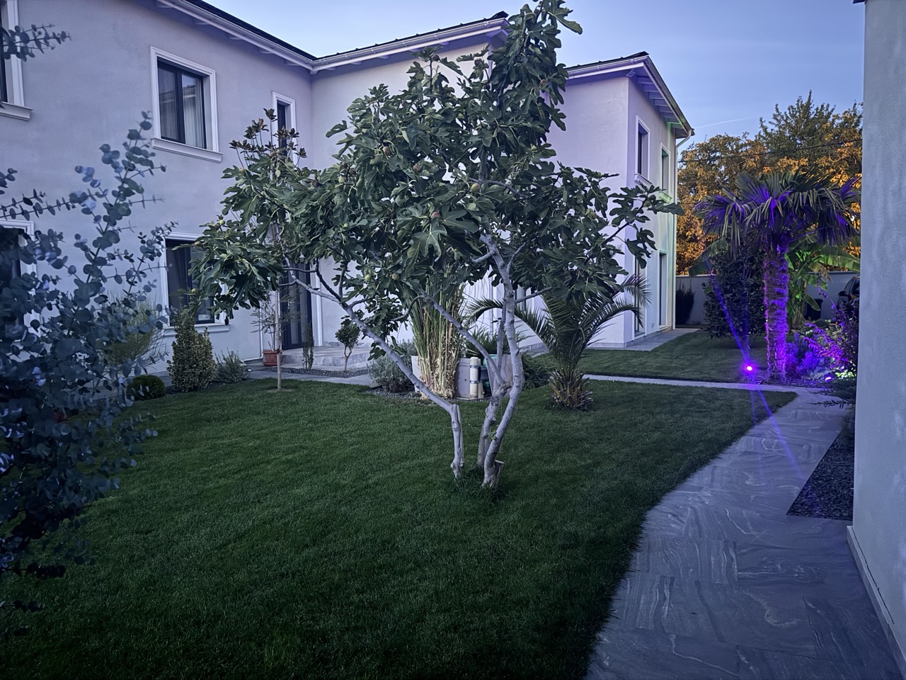 gradina-privata-exclusiva-eden-suites-timisoara-langa-amazonia-aquapark